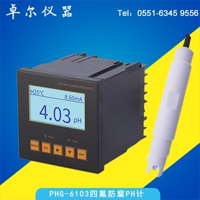 防腐PH計電極+PHG6103PH控制器